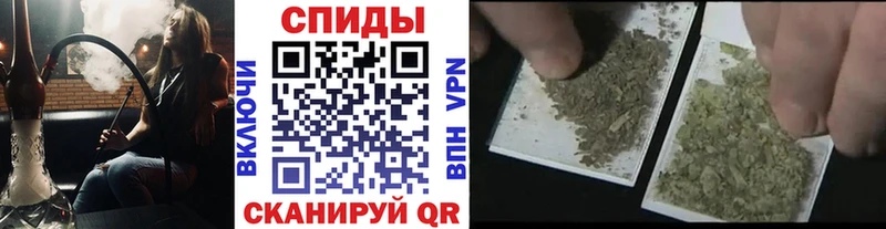 Бутират буратино  Купить  Лиски 