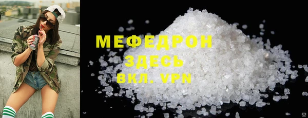 индика Кулебаки