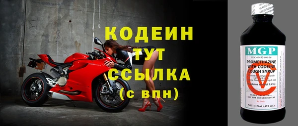 индика Кулебаки
