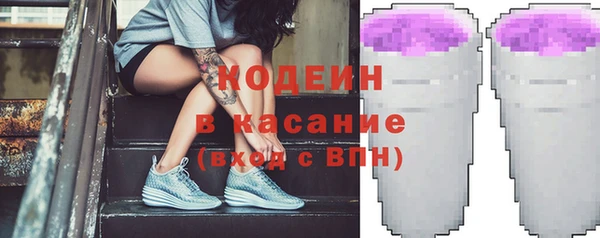 индика Кулебаки