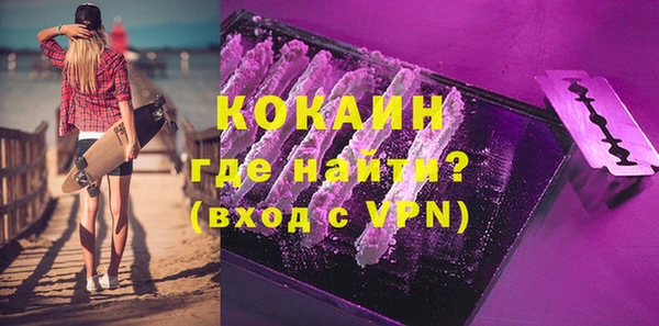 индика Кулебаки
