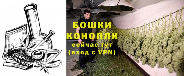 индика Кулебаки