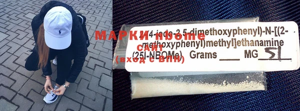 индика Кулебаки