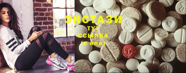 индика Кулебаки