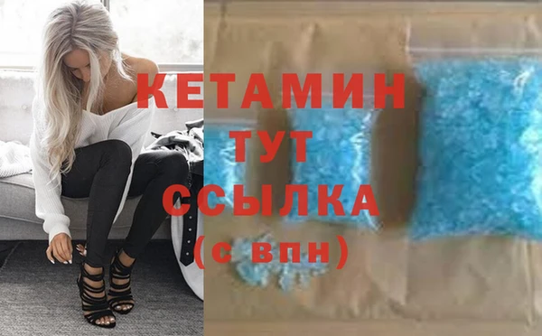 индика Кулебаки